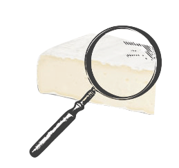 Характерной особенностью сыра бри является белая корочка, которая также съедобна